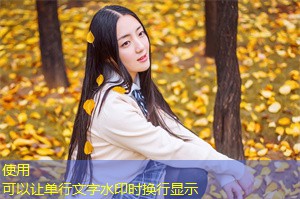 上海对异 __ 的文化包容性